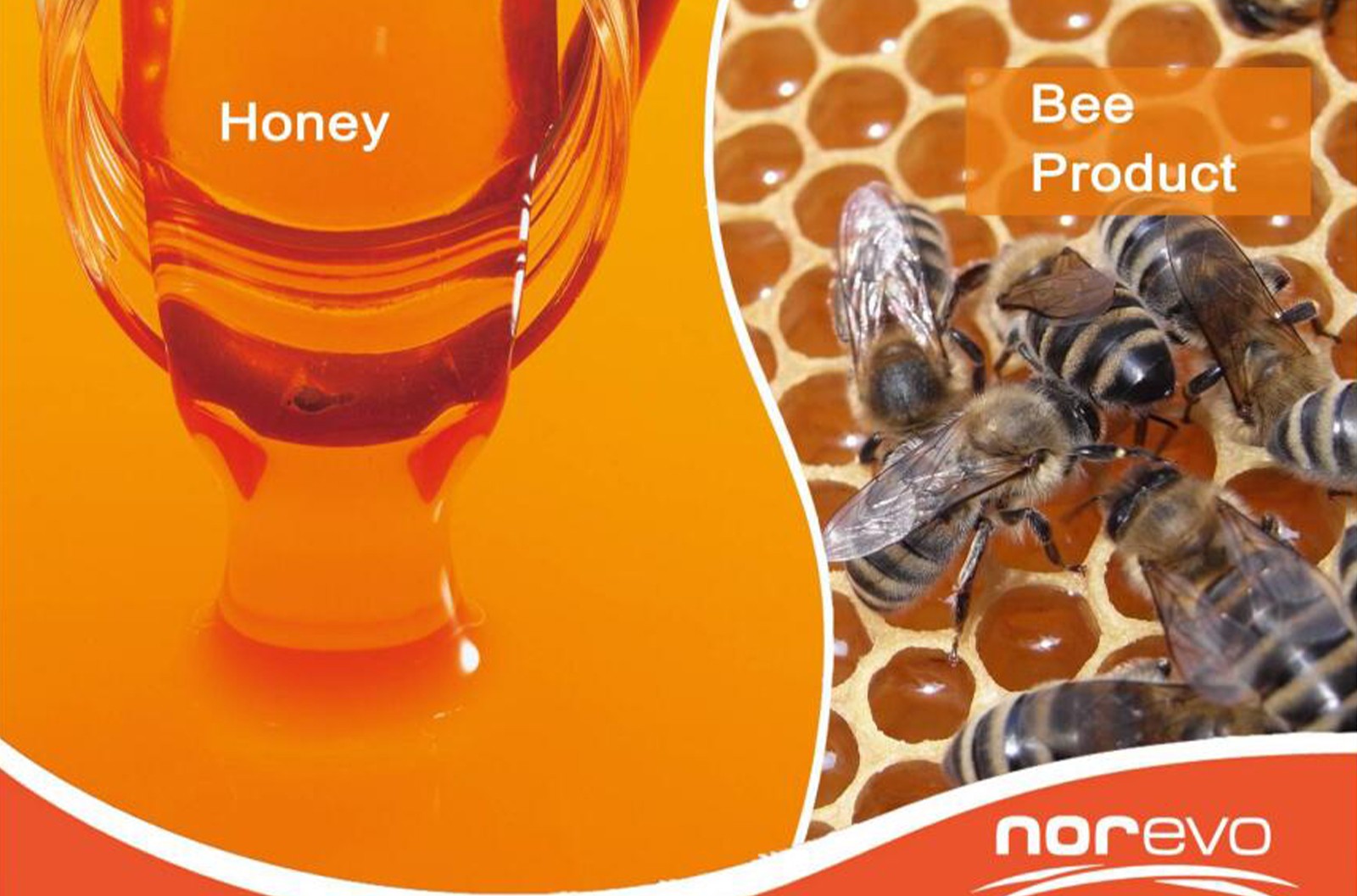 蜂蜜(Honey)： 珍贵的天然甜味剂